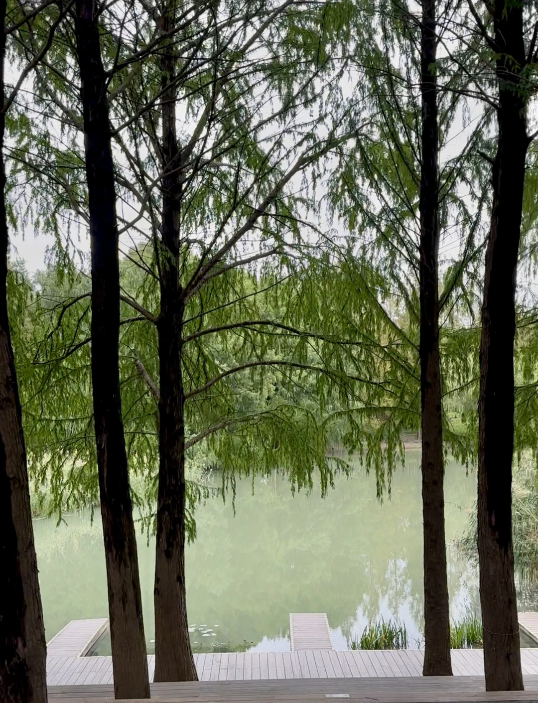 Фото путешественника — 6