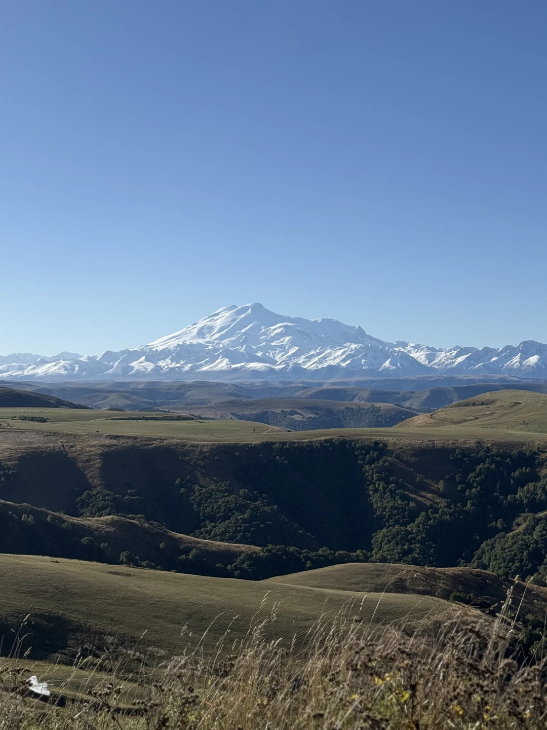 Отзыв о экскурсии "Кавказ для вас в индивидуальном туре: горный Кисловодск, легендарный Домбай и Верхняя Балкария" — фото 3