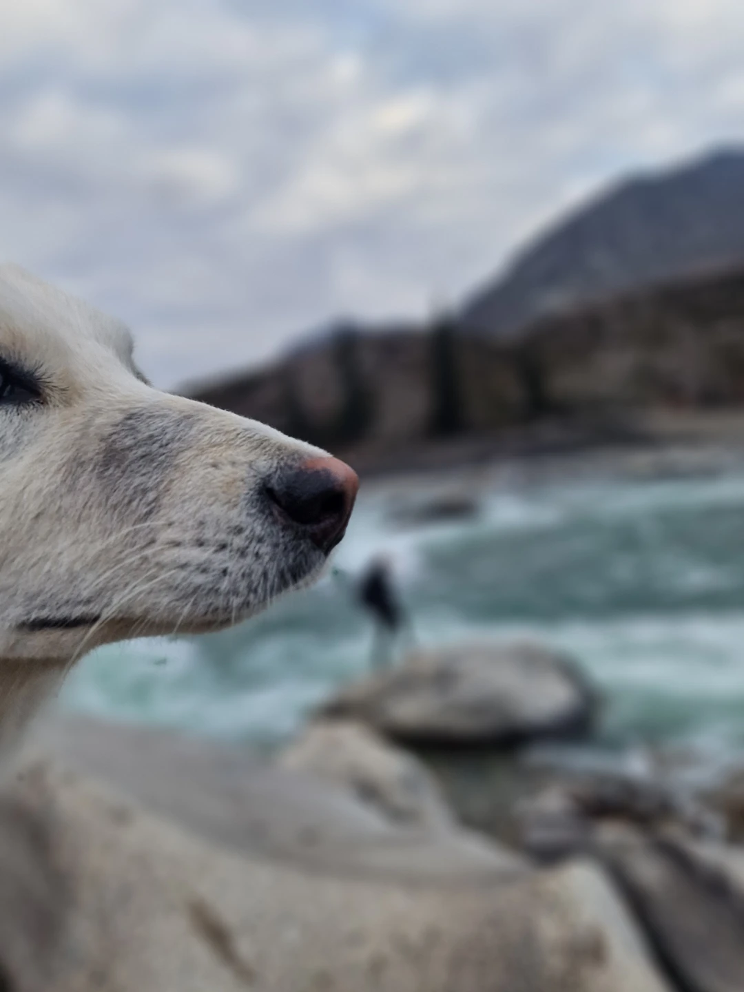 Отзыв о экскурсии "Чуйский тракт за 1 день: экскурсия-конструктор" — фото 2