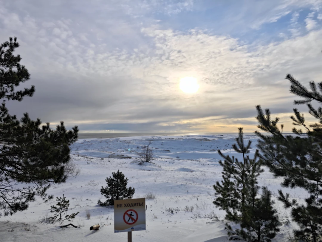 Отзыв о экскурсии "Волшебная Куршская коса" — фото 4