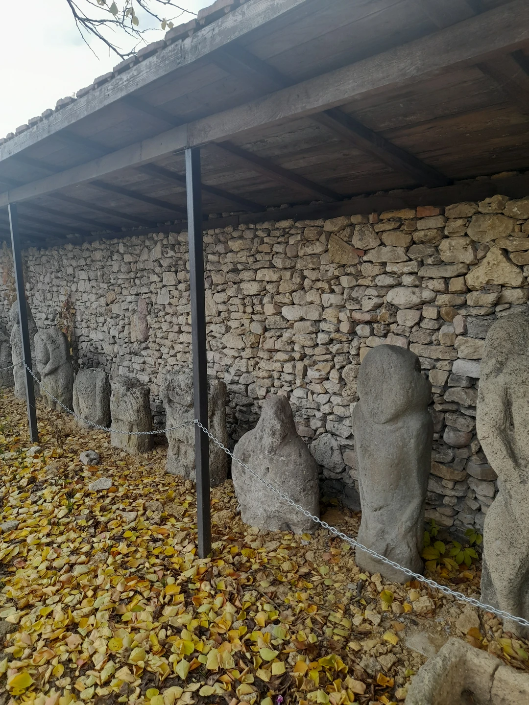 Отзыв о экскурсии "Вдоль Дона — к побережью Азовского моря" — фото 6