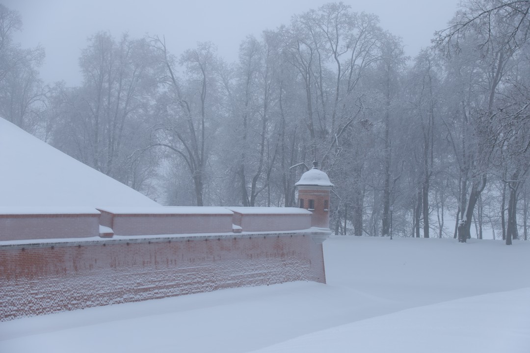 Отзыв о экскурсии "Замки Беларуси: групповая экскурсия в Мир и Несвиж из Минска" — фото 4