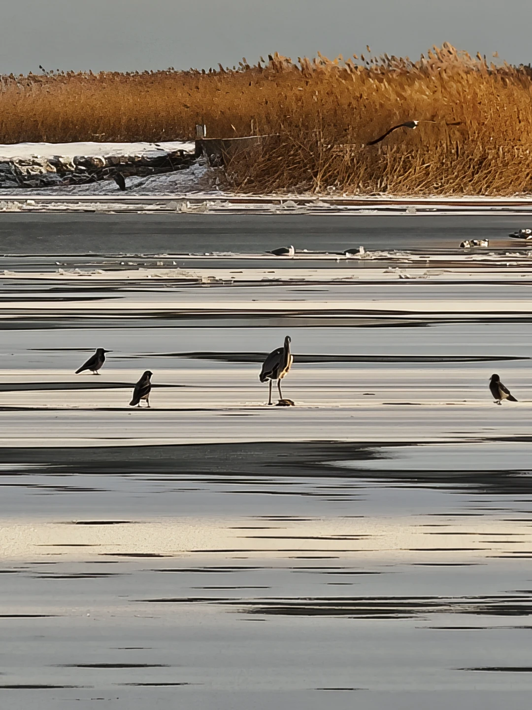 Отзыв о экскурсии "Волшебная Куршская коса" — фото 2