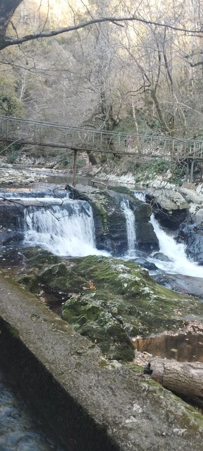Отзыв о экскурсии "Релакс-поездка к природному спа — из Сухума" — фото 4
