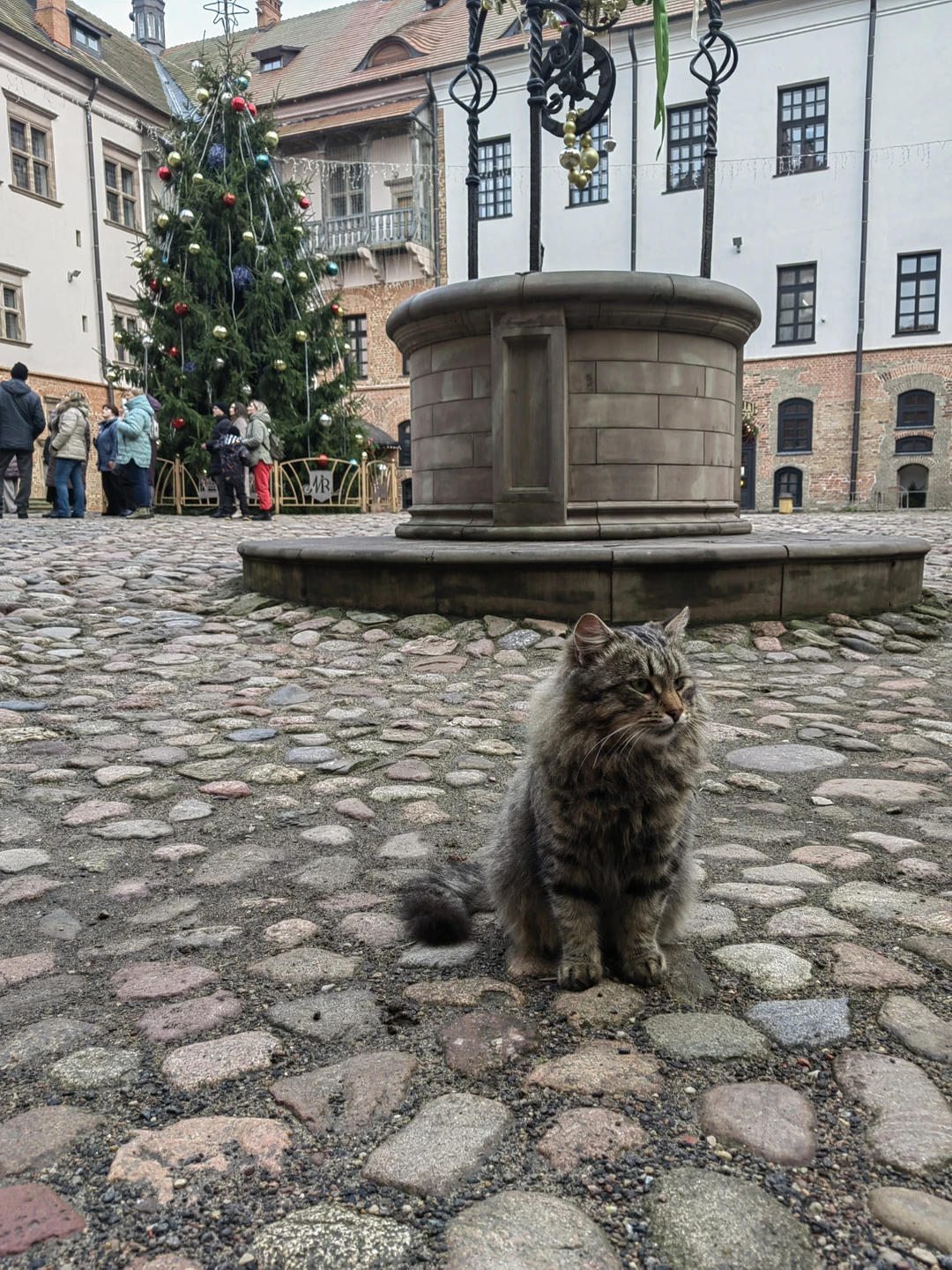 Фото путешественника — 8