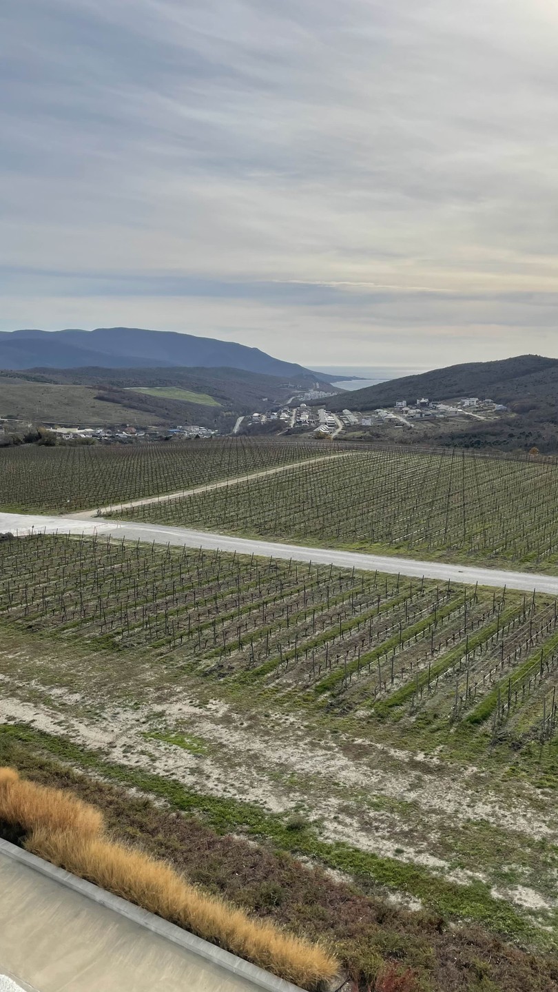 Отзыв о экскурсии "Винные открытия: Скалистый берег, Шумринка и Гай-Кодзор" — фото 5