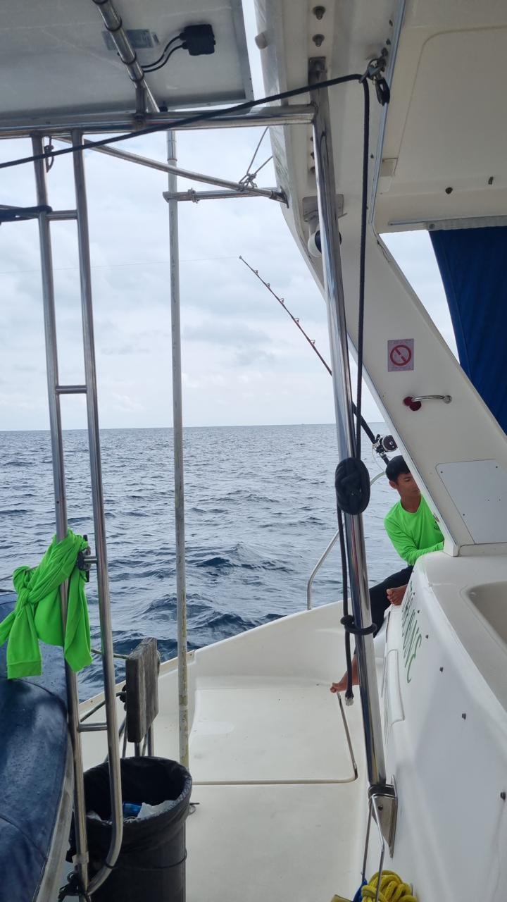 Отзыв о экскурсии "На парусном катамаране — к Коралловому острову" — фото 2