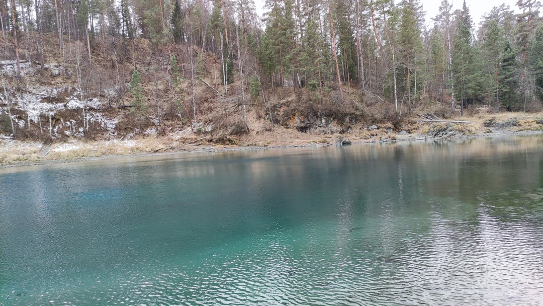 Отзыв о экскурсии "Долина Катуни — в гости к госпоже Горного Алтая" — фото 6