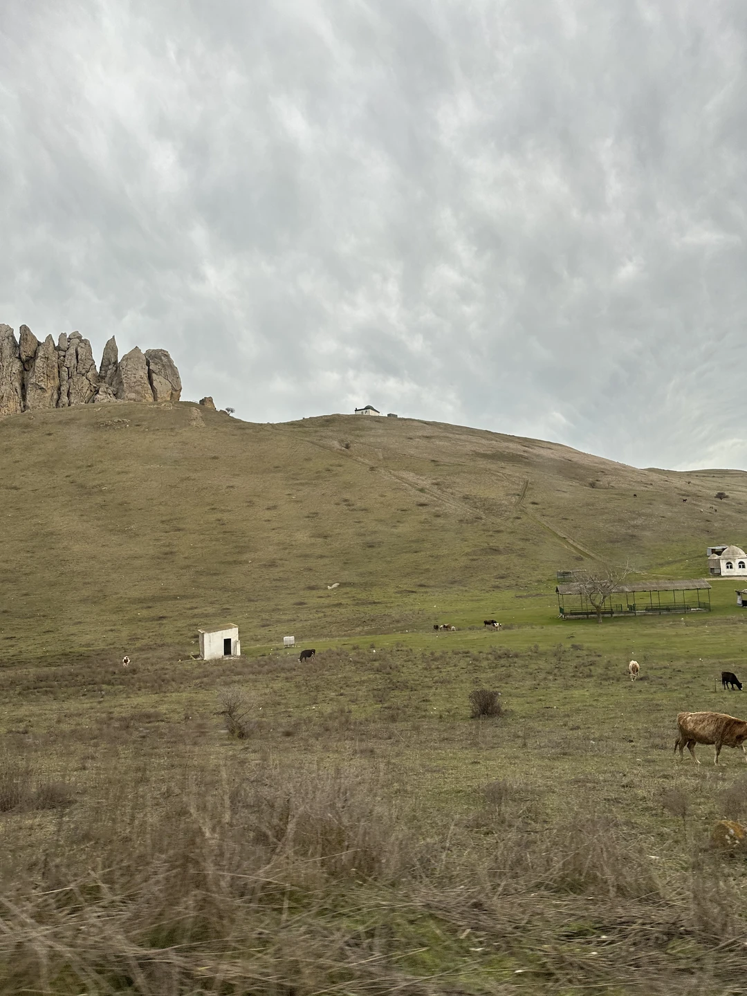 Отзыв о экскурсии "Яркость на максимум: розовое озеро, марсианские пейзажи и пикник на горе" — фото 3