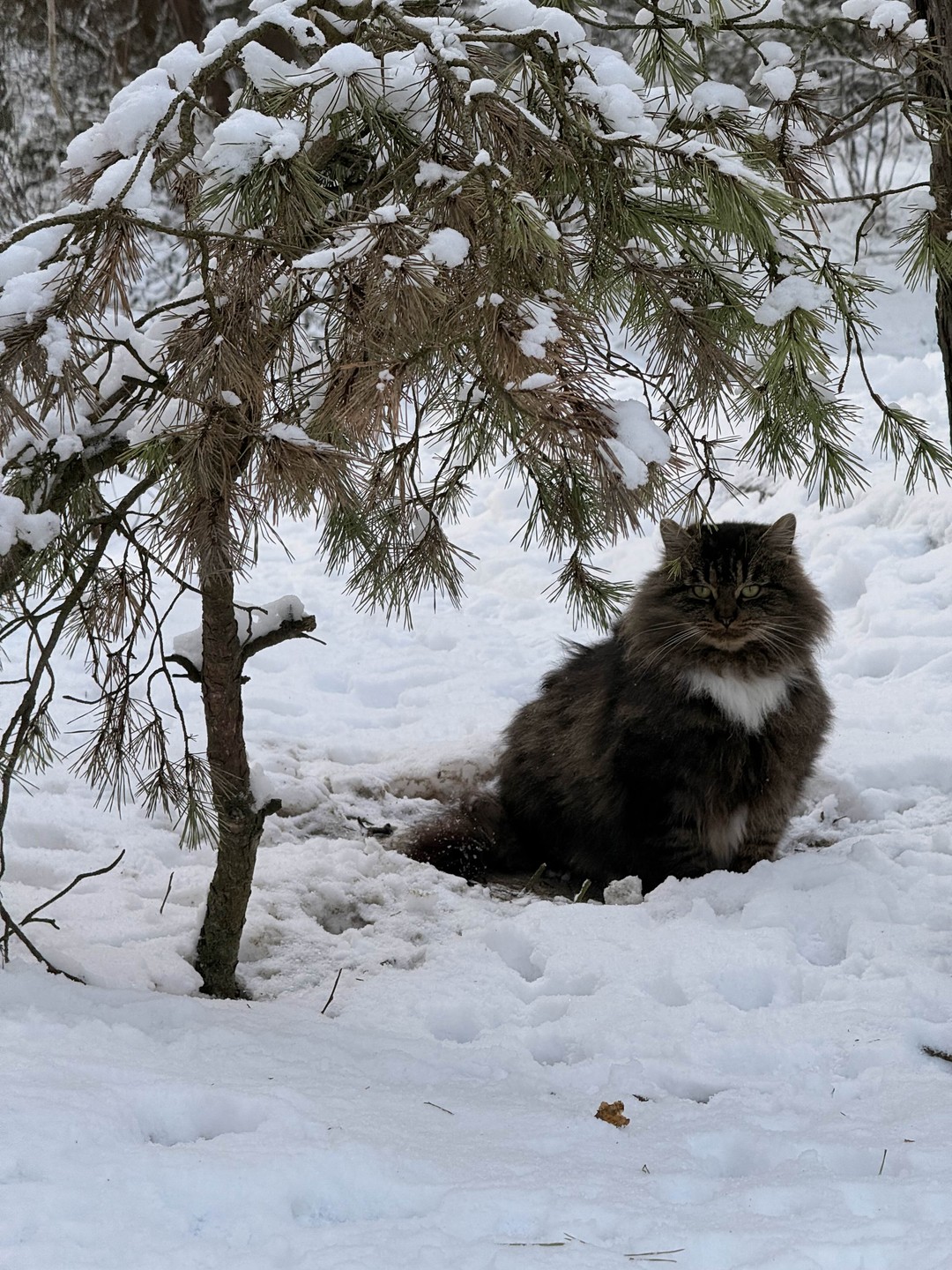 Фото путешественника — 3