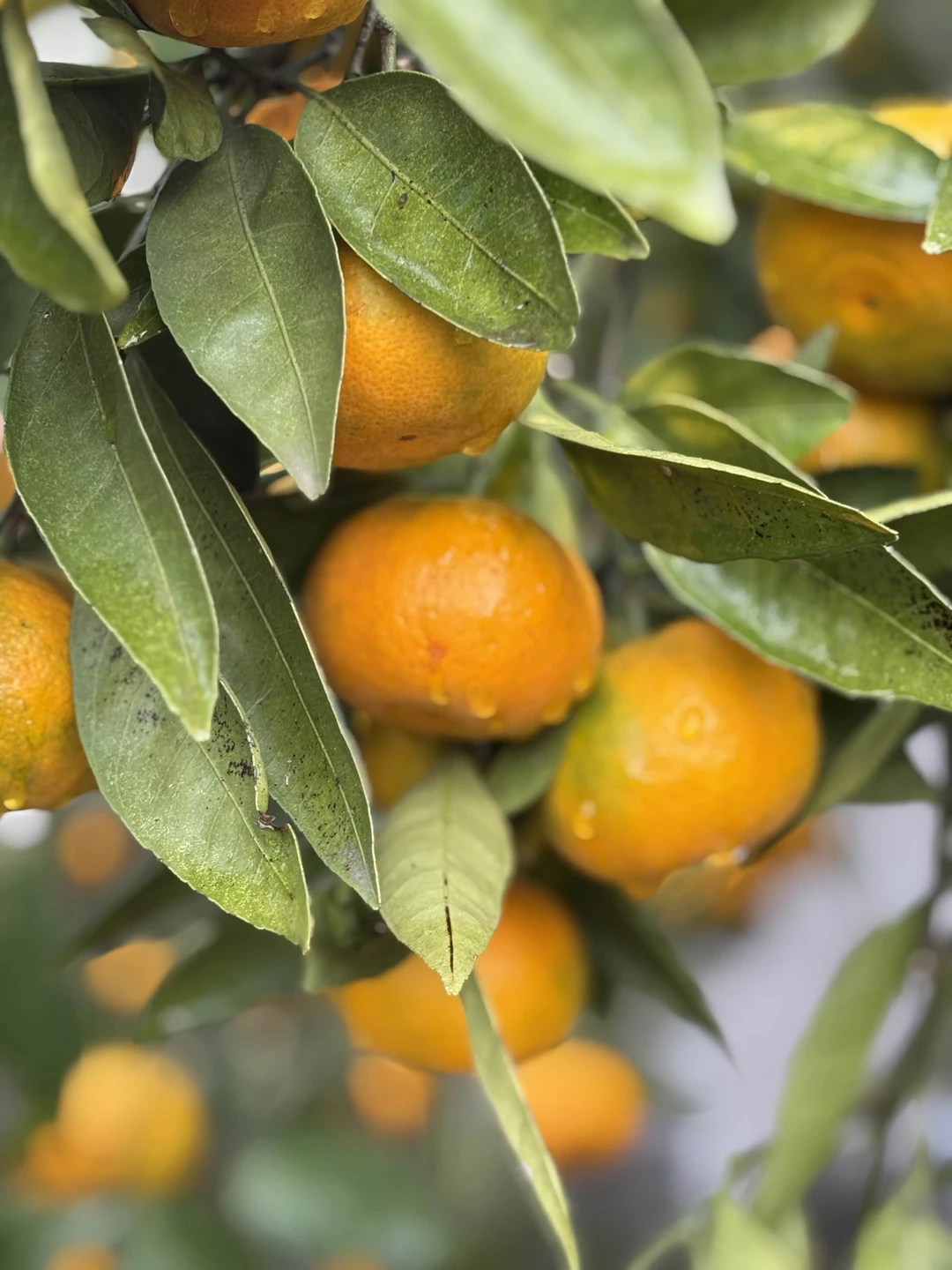 Фото путешественника — 3