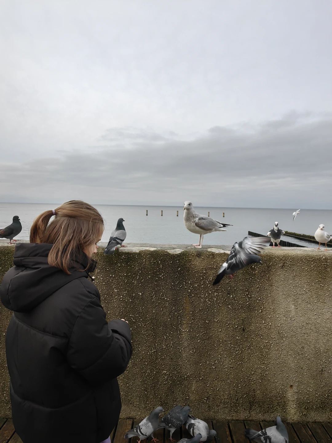 Отзыв о экскурсии "Светлогорск, Янтарный и производство янтаря: экскурсия из Зеленоградска" — фото 1