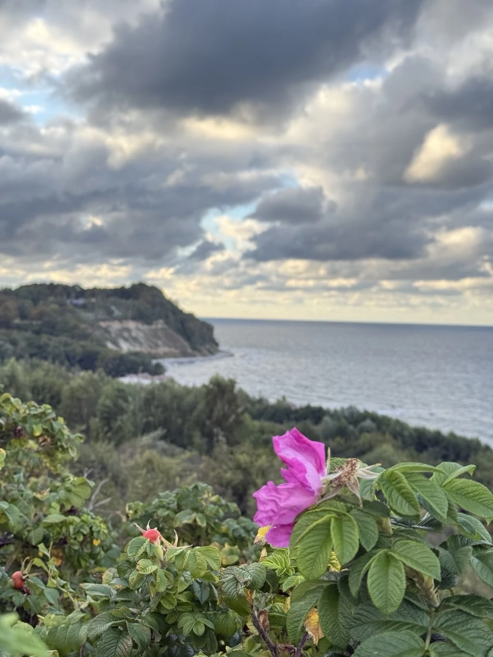 Отзыв о экскурсии "Большое путешествие из Калининграда: секреты местных жителей и жизнь региона" — фото 6
