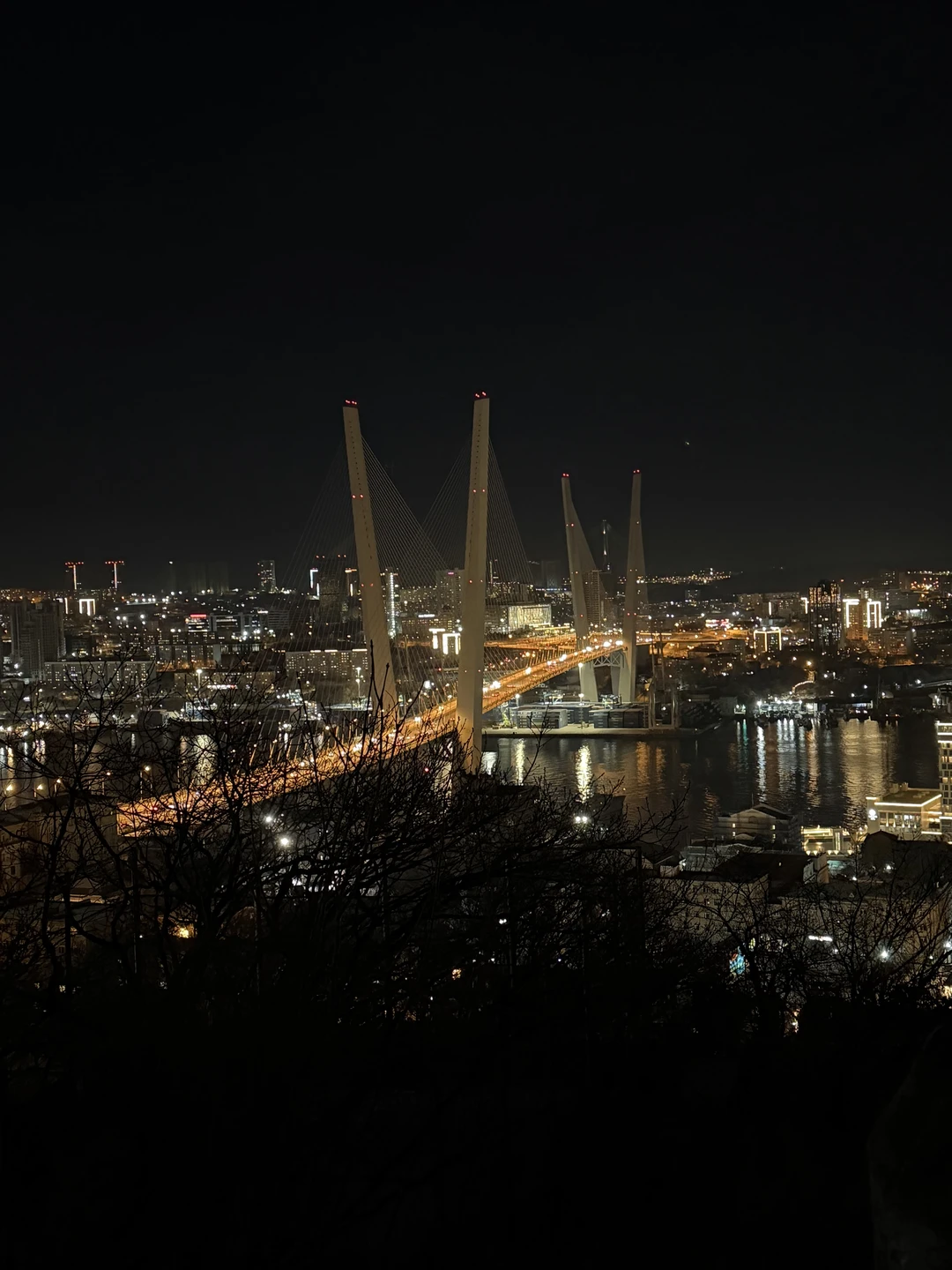 Отзыв о экскурсии "Ночные огни Владивостока (в группе)" — фото 4