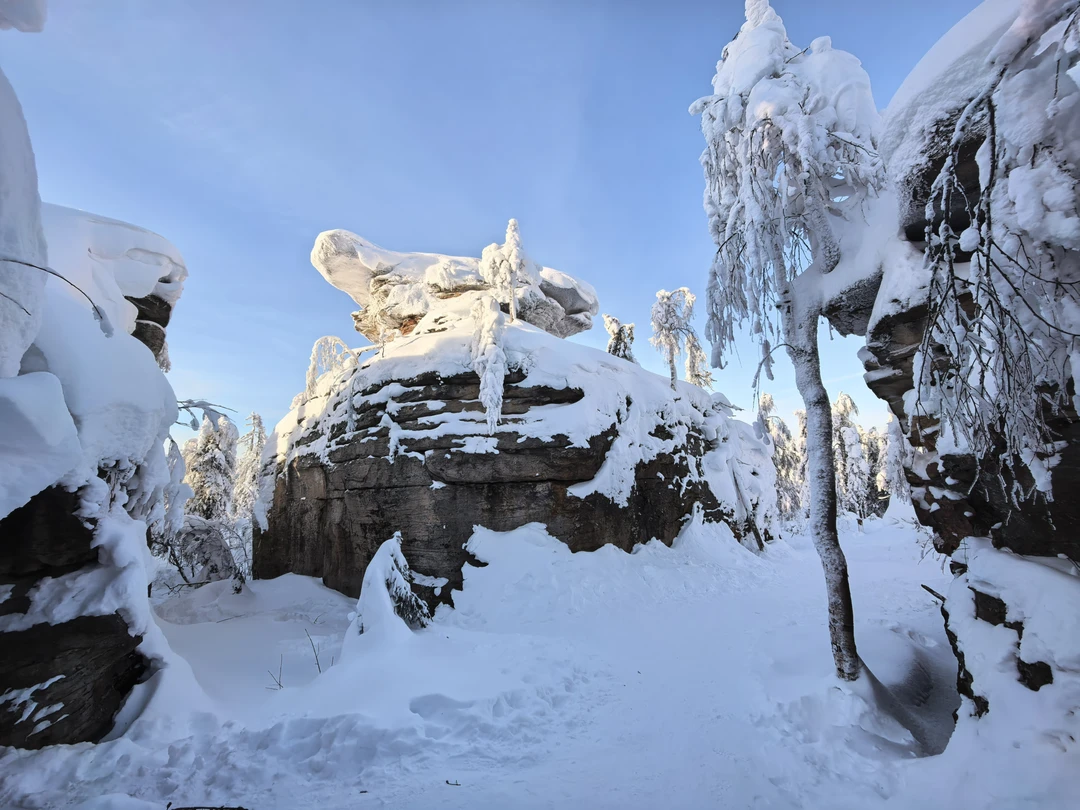 Отзыв о экскурсии "Каменный город и Усьвинские Столбы" — фото 5